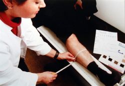 Dienstleistungen bei uns vor Ort